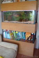 Аквариум 350 л б/у полный комплект - Изображение #1, Объявление #283847