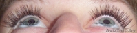 Профессиональное наращивание ресниц премиум-класса. Макияж. Коррекция бровей - Изображение #4, Объявление #287966