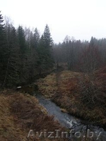 Продаю УНИКАЛЬНЫЙ обособленный участок  В ЛЕСУ на берегу  реки рядом с озёрами. - Изображение #4, Объявление #298969