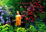 Крупноцветковые клематисы в Мнске и почтой по Беларуси - Изображение #1, Объявление #297535