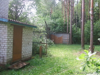 Продам дачу, 40 км от Минска,1 км от Жодино - Изображение #3, Объявление #313390