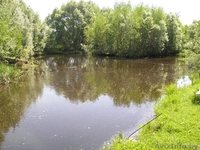 Дача Гп. Радошковичи 25км от МКАД - Изображение #3, Объявление #312106