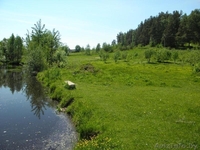 Дача Гп. Радошковичи 25км от МКАД - Изображение #4, Объявление #312106