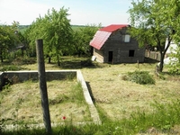 д.сенило  район стайки 10км от мкд. - Изображение #1, Объявление #312083