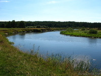 Дача -  Свислочь,рыбалка - Изображение #1, Объявление #329652