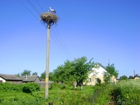 дом в Крулевщине - Изображение #3, Объявление #345590