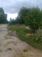 Тимошенко Денис Викторович,estet50@yandex.ru?+375296870354. - Изображение #4, Объявление #351046