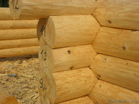 Дачи дома(срубы) - Изображение #3, Объявление #365808