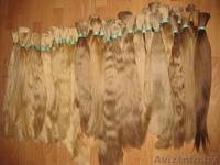 натуральнык волосы для наращивания - Изображение #1, Объявление #356929