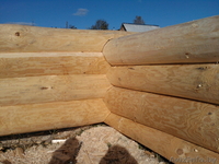 Срубы домов, бань из сосны и осины. - Изображение #2, Объявление #238542