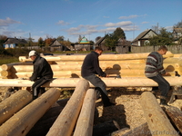 Срубы домов, бань из сосны и осины. - Изображение #1, Объявление #238542