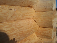 Срубы домов, бань из сосны и осины. - Изображение #3, Объявление #238542