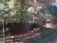 Участок на Припяти - Изображение #2, Объявление #36118