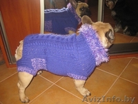 Вязаные вещи для собак - Изображение #5, Объявление #453579