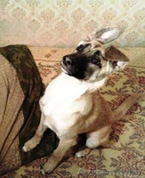 Красавица Лада в дар! - Изображение #3, Объявление #433064