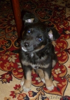 Кира… Кирочка… Кирюша! - Изображение #5, Объявление #462719