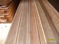 Лиственница сибирская - Изображение #3, Объявление #489470