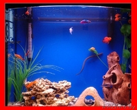 Аквариум 100л Панорама - Изображение #1, Объявление #580612
