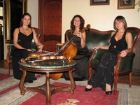 Струнный квартет "Лунный свет" минск +375296573520  1806@tut.by - Изображение #2, Объявление #584711