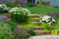 Ланшафтный дизайн - Изображение #1, Объявление #574127