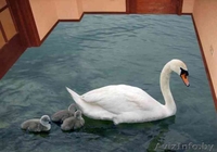 3D полы минск,гомель - Изображение #2, Объявление #563700