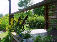 Сдаю дом для отдыха, рыбалки - Изображение #7, Объявление #656476