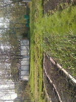 Прдается ухоженная дача. Готова для проживания летом. - Изображение #2, Объявление #668585