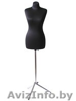 Манекены (мужские, женские) - Изображение #1, Объявление #671809