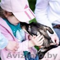 Подросток Макс ищет свою семью! - Изображение #2, Объявление #669893