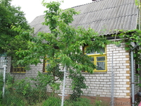 Дача в лесу, 20 км от МКАД, Молодечн. направление - Изображение #2, Объявление #664881