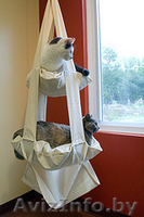 Мебель для Животных. Комплекс \\\"Кошкин Пентхауз\\\" в 2 этажа - Изображение #3, Объявление #652676