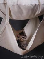 \\\"Кошкин Пентхауз\\\" в 3 этажа. Уникальный комплекс для кошек! - Изображение #2, Объявление #652688