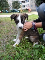 Очаровательные девчЁнки В ДАР!!! - Изображение #2, Объявление #719405