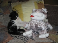 Малыш Гуф-ваш верный товарищ=) - Изображение #1, Объявление #706812