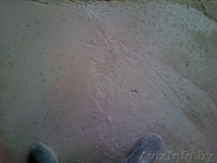 Шлифовка, полировка бетонных покрытий и полов,подготовка под наливной пол. - Изображение #1, Объявление #744087