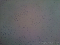 Шлифовка, полировка бетонных покрытий и полов,подготовка под наливной пол. - Изображение #3, Объявление #744087