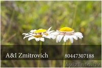 Свадебные Фотографы - Изображение #6, Объявление #745204