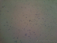 Шлифовка, полировка бетонных покрытий и полов,подготовка под наливной пол. - Изображение #4, Объявление #744087