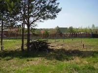 Продается участок в московском направлении - Изображение #5, Объявление #739604