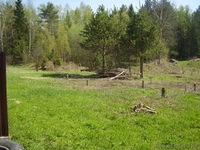 Продается участок в московском направлении - Изображение #6, Объявление #739604