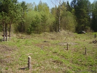 Продается участок в московском направлении - Изображение #8, Объявление #739604