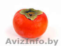 Хурма свежая, крупная оптом из Грузии - Изображение #1, Объявление #781303