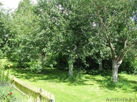 Продаю дачу 10 соток Брестское направление, срочно - Изображение #2, Объявление #770478