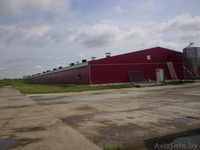 Оборудование и материалы для строительства сельскохозяйственных объектов - Изображение #4, Объявление #786979