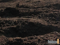 Бетон, щебень, грунт, цемент от производителя. - Изображение #3, Объявление #805982