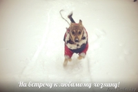 Шана-веселый энэрджайзер в дар! - Изображение #4, Объявление #808406