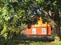 Продам Настоящий Хутор в лесу у воды берег лесной реки рядом озёрами  на Белорус - Изображение #5, Объявление #803424