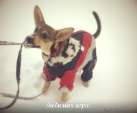 Шана-веселый энэрджайзер в дар! - Изображение #2, Объявление #808406