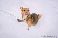 Изящная,умная,добрая,нежная... - Изображение #2, Объявление #833403