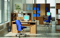 Корпусная и встроенная мебель по индивидуальным проектам - Изображение #2, Объявление #836198